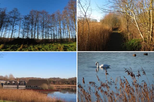 Brockholes Nature Reserve