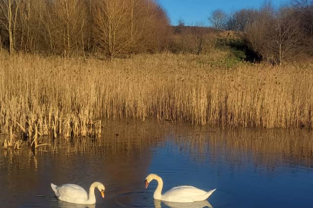 Brockholes Nature Reserve