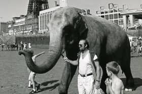 Layla a Tower Circus Elephant with her trainer on Blackpool Beach in 1984