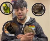Hugo's Small Animal Rescue and Sanctuary on Peel Road in Blackpool is not currently taking any more wild birds due to the current bird flu restrictions. 
