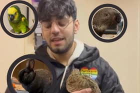Hugo's Small Animal Rescue and Sanctuary on Peel Road in Blackpool needs to raise £10k by February for a permanent plot of land. 