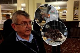 David Trippett, show chairman for British Homing World's Show Of The Year 