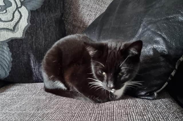 Three-year-old Mildred.