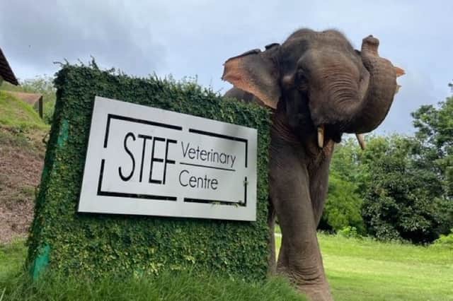 The STEF Veterinary Centre in Thailand.