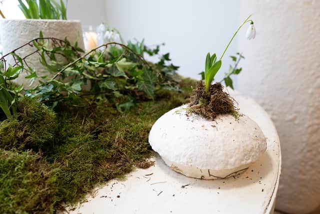Eco-lovers can now be buried in a UK-first coffin - which decomposes faster and is made out of mushrooms.