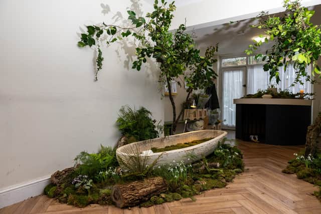 The world's first living coffin made from mushrooms is now being sold at a funeral home in Forest Hill