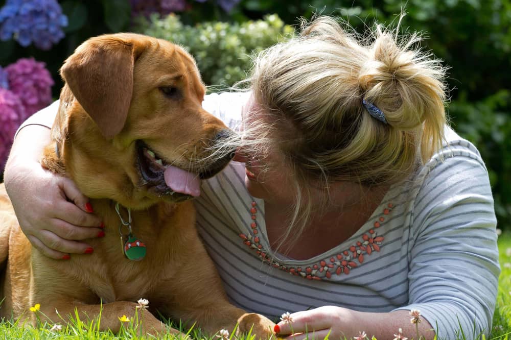 Hundreds attended a final walk on Blackpool Promenade for gorgeous fox red Labrador and guide dog Ian who is terminally ill. 