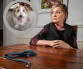 Barbara O’Donnell, of Fleetwood Road, Norbreck, is still reeling with shock after nothing could be done to save her 14-year-old Jack Russell terrier Scruffy, who had been a cherished part of the family for 12 years.