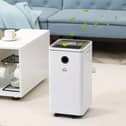A dehumidifier is a great addition to your home