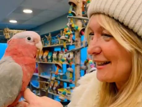 Donna Garey was relieved to get Alby, her pet rose-chested cockatoo, back home