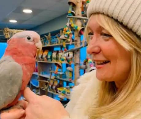 Donna Garey was relieved to get Alby, her pet rose-chested cockatoo, back home