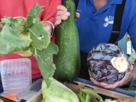 Allotment holders and residents who live within 1 kilometre of an industrial site in Thornton have been advised to take a precautionary approach to eating home grown produce