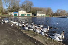 Stanley Park lake in Blackpool has reopened to the public following a bird flu outbreak