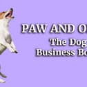 Happy playful Jack Russell Terrier dog playing