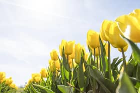 The Met Office is forecasting highs of 18C for Lancashire this week