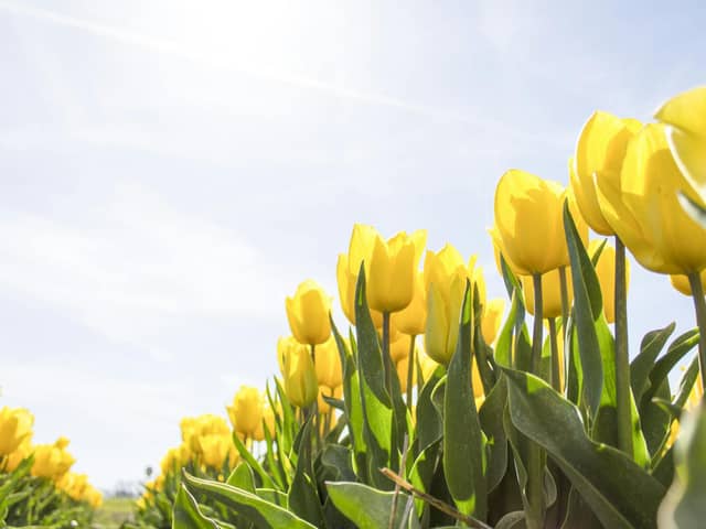 The Met Office is forecasting highs of 18C for Lancashire this week