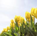 The Met Office is forecasting highs of 18C for Lancashire this week