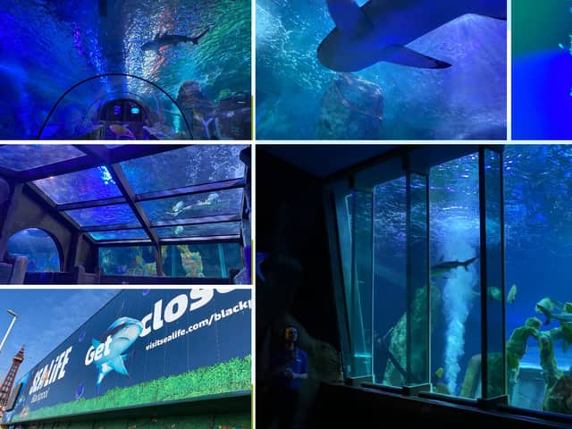 I visited Sea Life in Blackpool for the first time.
