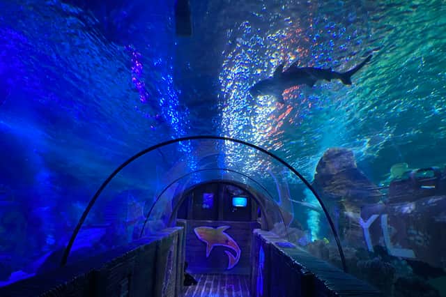 Under water tunnel - Sea Life Blackpool