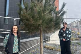 Blackpool Council has been awarded £1.8 million by United Utilities to plant trees in urban spaces across the resort