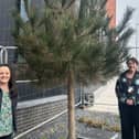 Blackpool Council has been awarded £1.8 million by United Utilities to plant trees in urban spaces across the resort
