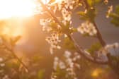 The first weekend of April looks set to be nice and warm in Lancashire