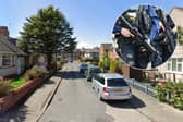 The breed of dog shot dead after a Knott End attack which left a man with life changing injuries has been revealed to be a staffy-type dog and not of a banned breed. 