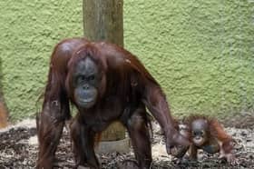 Aunty Cherie who is 28 today pictured with Jarang.