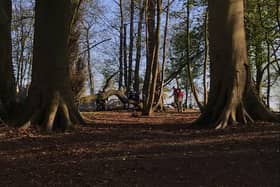 Firefighters were called to a woodland fire in Worden Park, Leyland, this week