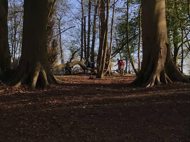 Firefighters were called to a woodland fire in Worden Park, Leyland, this week