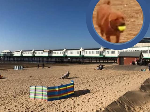A dog exclusion zone will come into effect later this week on a part of St Annes beach until September. 