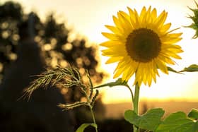 Here's the full Met Office weather forecast for Lancashire this Easter