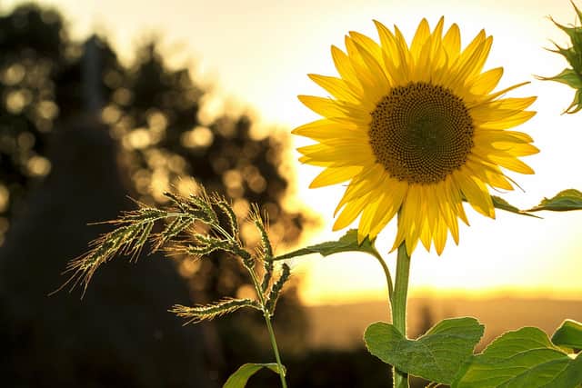 Here's the full Met Office weather forecast for Lancashire this Easter