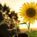 Here's the full Met Office weather forecast for Lancashire this Easter