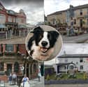 26 of the best dog-friendly pubs and bars in Lancashire