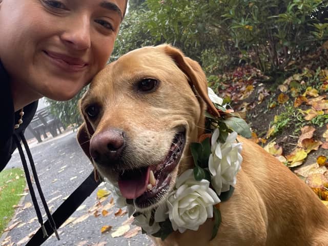 Rebecca McBride, chaperoning a dog.