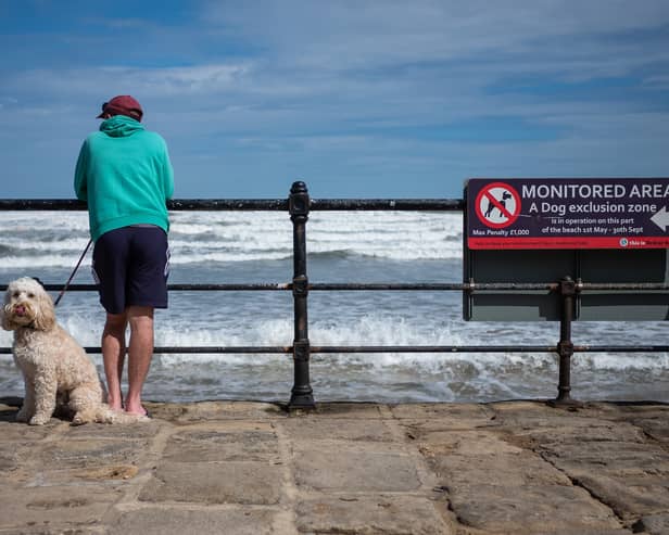 Dog owners could face fines of £1,000 if they take their dogs to the beach this summer.