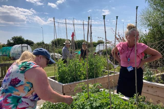 Trinity Hospice is hosting an open day at their dedicated allotment space which has been helping local families for three years.