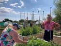 Trinity Hospice is hosting an open day at their dedicated allotment space which has been helping local families for three years.