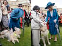 The Queen made friends with an “attention-seeking” guide dog from Lancashire during the first Buckingham Palace garden party of the season