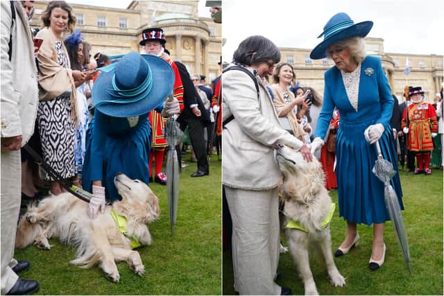 The Queen made friends with an “attention-seeking” guide dog from Lancashire during the first Buckingham Palace garden party of the season