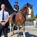 Lancashire Police named one of their new horses after ACC Lawson, honouring his memory