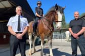 Lancashire Police named one of their new horses after ACC Lawson, honouring his memory