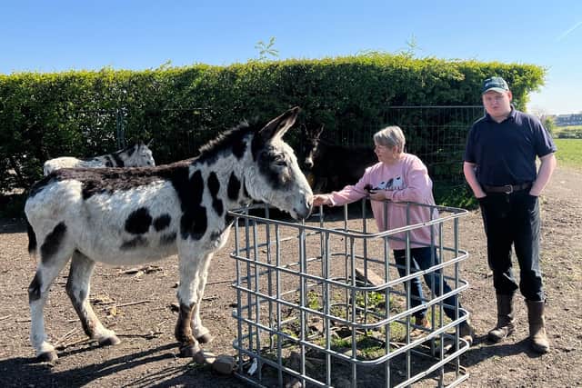 Gillian Morris and son Andrew at Lathan House Farm, Wigan, with one of the donkeys taking a break from Blackpool Beach