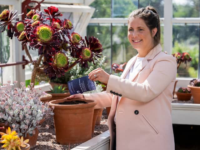 Lindsey Burrow, wife of late rugby legend Rob Burrow, plants wildflowers in his memory to mark Celebration Day (May 26) 