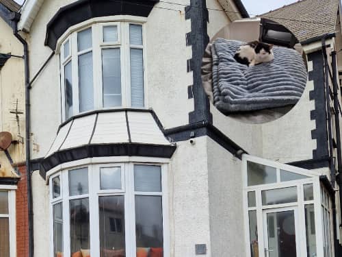 I went to Blackpool's new cat & gaming hotel