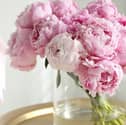 Treat yourself to a beautiful bouquet of Peonies from Appleyard - 30% off with this exclusive code