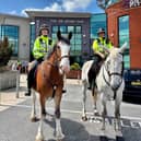 Police horse Lawson patrols the streets for his first town centre patrol in Chorley.