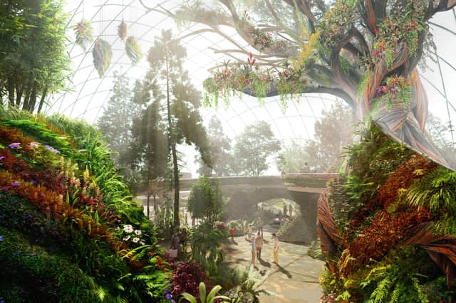 Concept art of The Elder Tree Eden Project Morecambe