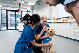Meg the dog with students Emma Saxby and Hiya Shroff